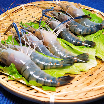 荆州鲜冻罗罗氏虾大头虾精品速冻水产螺丝虾鲜活冷冻特大号大虾罗氏虾