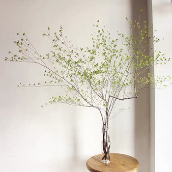 日本马醉木吊钟进口鲜切花枝直批植物居家森林花期长室内花t7吊钟1351