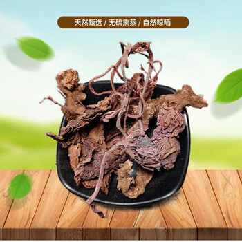 山间谷草正宗甄选红天葵500g紫背天葵散血子红水葵非呒野生中药材