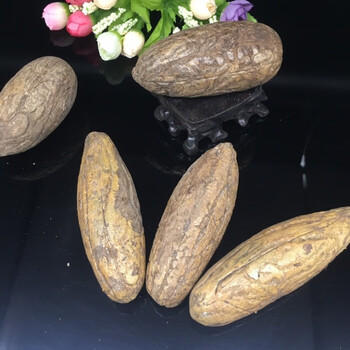 欧珏雅千眼菩提原籽菩提子原果白玉菩提果原果象牙白果黑皮风化老果