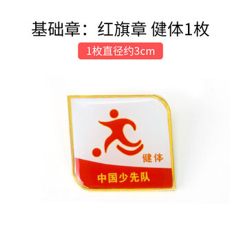 印章少先队队员队徽徽章盒星级章贴纸争章手册订做火炬 健体章【图片