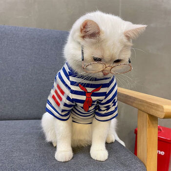 everking猫咪衣服夏天防掉毛薄款公猫布偶猫蓝猫背心猫猫小猫学生装