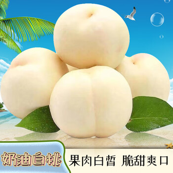 蒙阴奶油白桃新鲜水果甜白玉水蜜桃桃子现摘软大毛桃 3斤装【单果200g