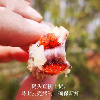 新满籽皮皮虾干带籽皮皮虾琵琶虾干新鲜软烤即食虾虎淡干原汁味皮皮虾