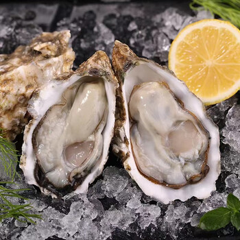 连云港发货  精品鲜活生蚝  5斤/10斤装  3-4两/半斤以上规格 8斤装(2
