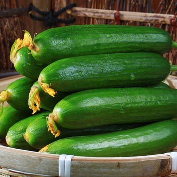 轻恋山东寿光新鲜水果黄瓜35斤装无刺小黄瓜小青瓜生吃当季现摘应季