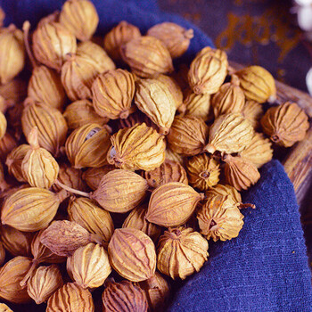 川砂仁250g 香砂沙仁金砂仁四川特产炖肉卤菜调料香料大全