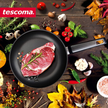 tescoma捷克进口 i-PREMIUM系列 厨房通用不粘锅平底锅 少油烟煎锅 煎锅 20cm