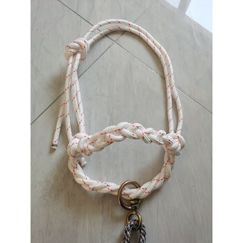 小牛犊笼头牛笼头套手工编织龙头套龙套缰绳牛场设备养牛场牛用 扁带