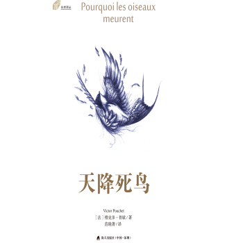 天降死鸟pdf/doc/txt格式电子书下载