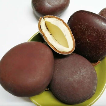 醉俊双肾子阴阳子风流果男性状阳泡酒料广西野生特级250g精选特极