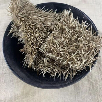 刺猬皮 晒干仙人衣生猬皮  猬皮中药材 250克