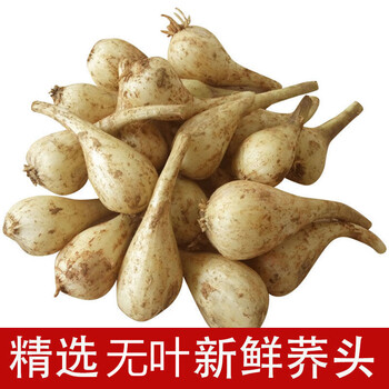 农家自种新鲜现挖茭头荞头 叫头藠头薤白作泡菜蕌头子5斤 3斤【图片 价格 品牌 报价】-京东