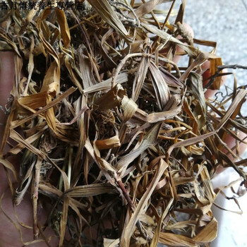 有仁堂观音草中药材吉祥草晕草小叶万年青玉带草250克