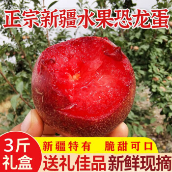 想妮（xiangni）新疆恐龙蛋水果 新疆特产正宗好吃李子水果新鲜当季整箱 3斤礼盒装（12-15枚）