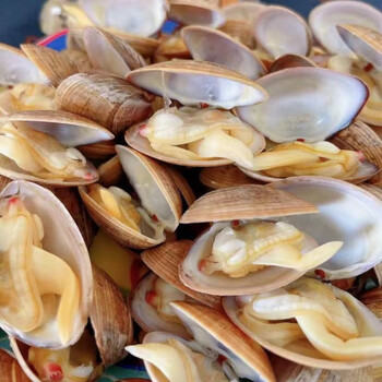 黄海蛤蜊无沙黄蚬子鲜活速冻大文贝即食海鲜零食无沙黄蚬5斤