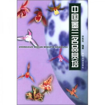 中墨兰名品赏培