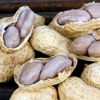 水煮花生500g*2咸干晒干盐水蒜香口味炒五香味带壳蒜蓉味龙岩特产