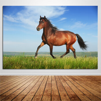 骏马海报画一匹马吃草的马野马动物画白马黑马宿舍客厅装饰墙贴画 b01