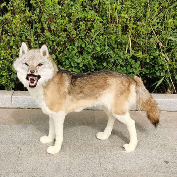 大型仿真狼模型1比1狼标本野生动物真皮毛工艺品假狼摆件影视道具仿真