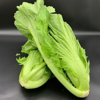 拾茗集贵州新鲜包心芥菜青菜新鲜蔬菜苦菜大叶宽邦青菜可做酸菜腌菜
