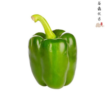轻恋寿光七彩辣椒新鲜灯笼辣椒五彩辣椒 绿色彩椒 净重5斤装