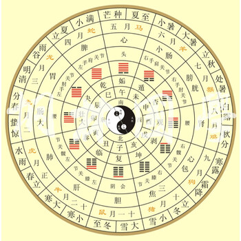 十二辟卦卦象图中医养生太极八卦图二十四节气脏腑经络装饰画286淡