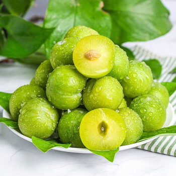 青尊园广东茂名钱排新鲜三月李酸脆李子当季青李孕妇水果 1斤 尝鲜装