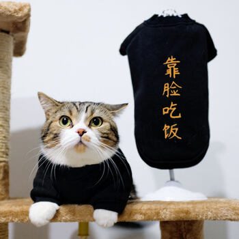 靠脸吃饭(秋款) s(建议4-5斤,一杯奶茶前就可以可可爱爱)