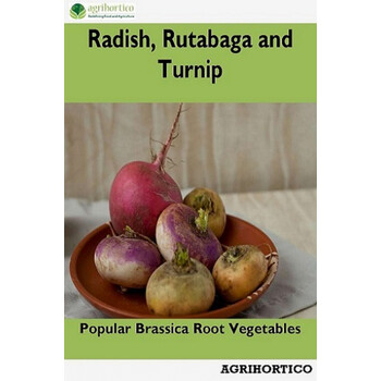radish, rutabaga and turnip: popular brassica root vegetables