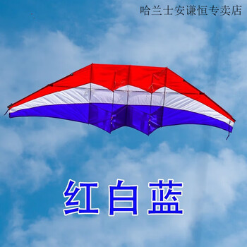 哈兰士风筝滑翔机伞544伞布大型抗大风微风易飞2023新款初学者大人 4