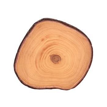 泰兴银杏木砧板源伴银杏木砧板实木菜板原木整木白果树菜墩酒店厨房