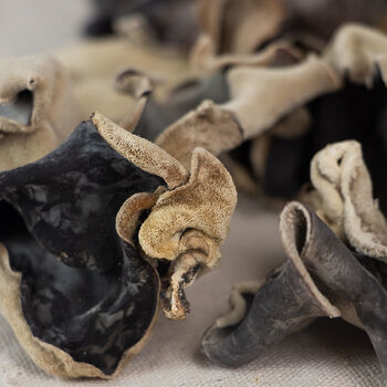 脆木耳毛木耳大木耳大片白背黑木耳干货散装餐饮火锅食堂商用木耳2500