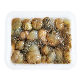 海鲜阁 新鲜冷冻沙蒜 海葵 海肠子 海鲜水产 海卵子 1000g
