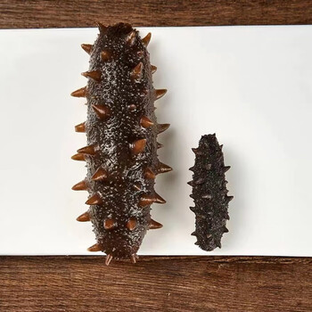 食怀大连纯野生淡干海参干货刺参辽参批发非鲜活即食海参礼盒精选大参