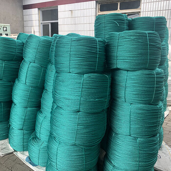 大棚吊秧绳蔬菜黄瓜吊蔓绳塑料绳西红柿爬藤网拉绳豆角网拉线农用45股