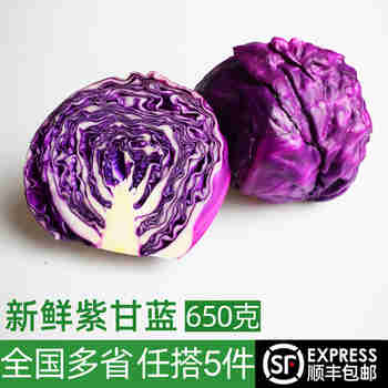 绿食者 紫甘蓝约650g 紫包菜球紫色红椰生菜 西餐沙拉蔬菜轻食健身食材