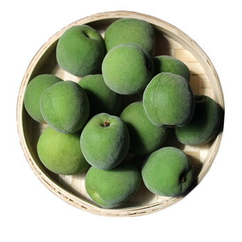 福建诏安新鲜青梅当季新鲜青梅鲜果泡酒大酸生青梅子 精选5斤装