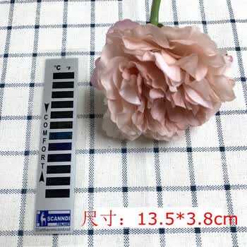 液晶变色温度计贴纸式温度计鱼缸温度贴室内温度计服装温度计样式2 16 38 C 图片价格品牌报价 京东