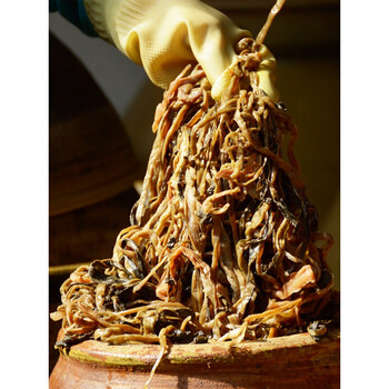 焦大哥老坛宜宾芽菜长条芽菜1000g 四川宜宾特产盐菜农家牙菜