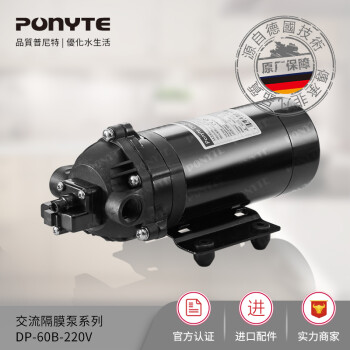 普尼特PONYTE 普尼特 DP-60 220V微型水泵 展台专柜自吸循环隔膜泵 DP-60B/220V