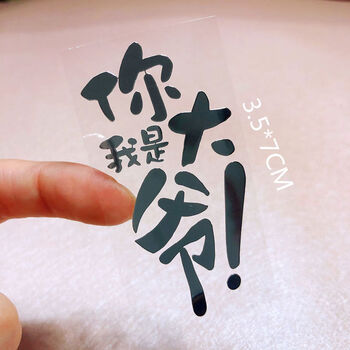 【197】你是我大爷 银色