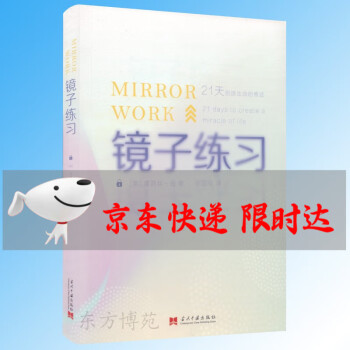 镜子练习:21天创造生命的奇迹 （美）露易丝·海 心理自助书 简体中文版