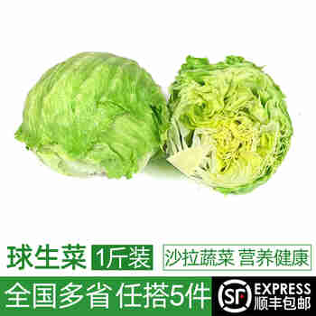 绿食者 新鲜球生菜500g 汉堡用西生菜西餐三明治沙拉蔬菜健康轻食食材