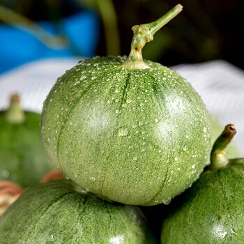 绿宝甜瓜2个装4个装水果新鲜当季现摘脆香瓜绿瓜绿宝石小甜瓜4个装