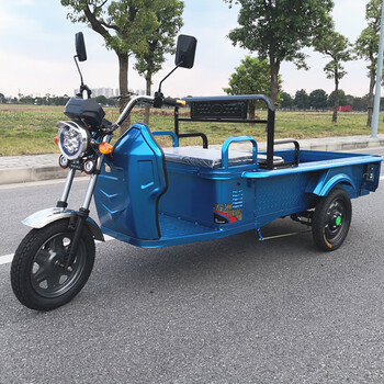 电动三轮车代步车摆摊小平板车新款家用电瓶三轮车货运拉货快递车15米