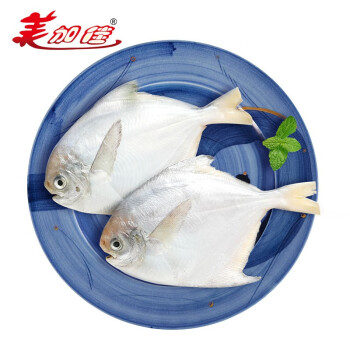 美加佳 冷冻黄海银鲳鱼 白鲳鱼 平鱼 300g  4-6条 烧烤食材 海鲜水产