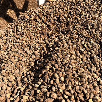 花肥羊粪肥料有机肥发酵纯羊粪羊粪蛋风干羊粪蔬菜瓜果兰花专用肥 28