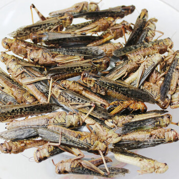 大绿蚂蚱蹬倒山1斤装【图片 价格 品牌 报价】-京东