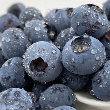 京鲜配云南蓝莓露天新鲜采摘基地直发孕妇水果宝宝辅应季时令蓝莓鲜果